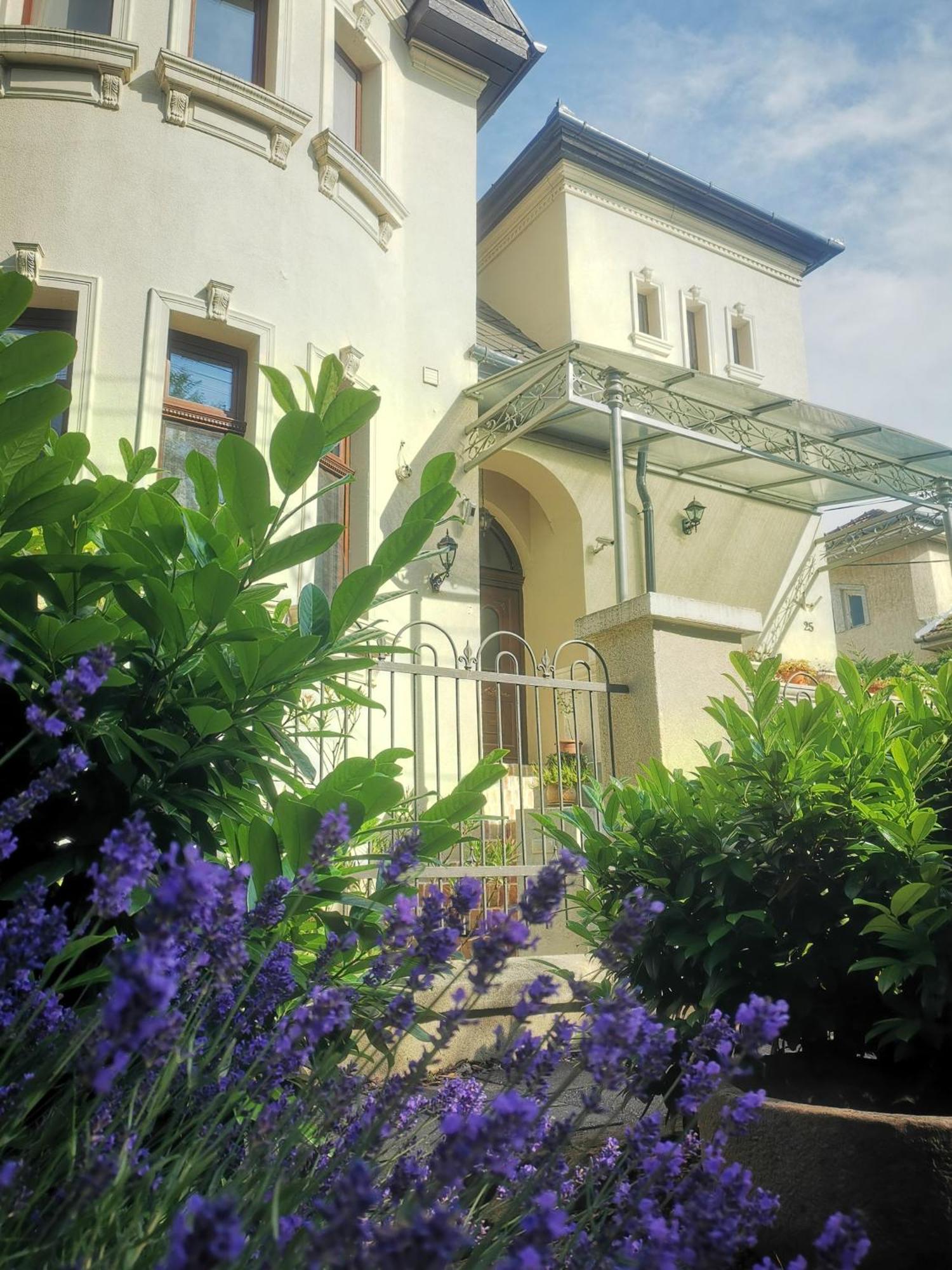 Kuria Apartman With Private Jacuzzi And Pool Budapest Extérieur photo