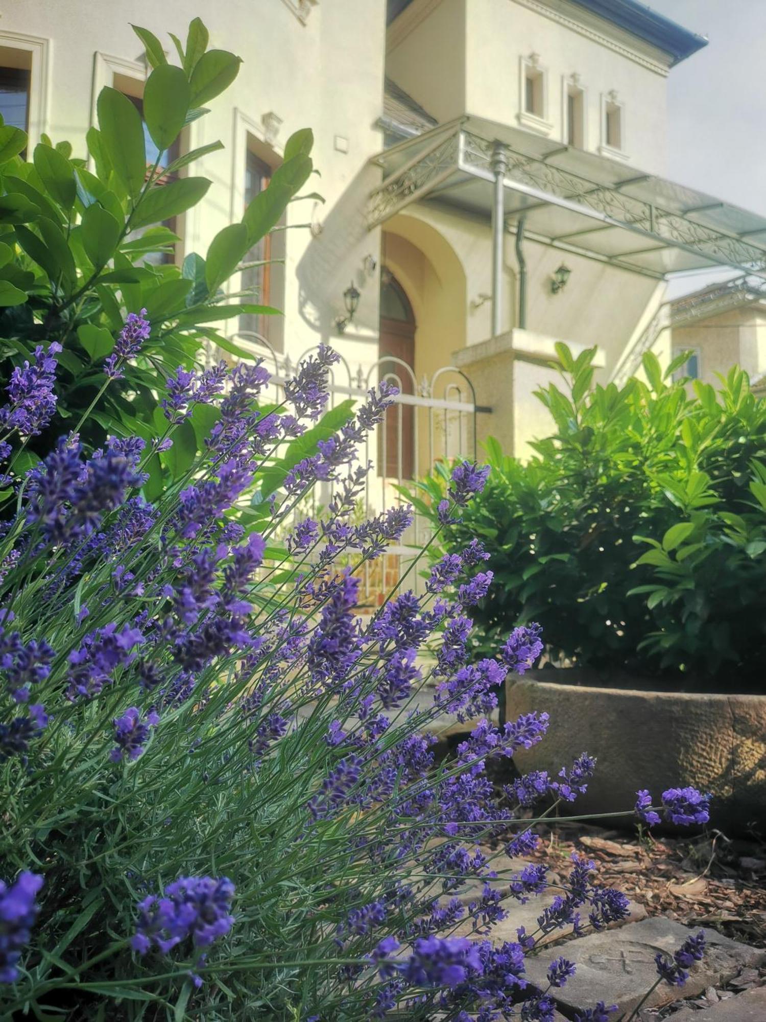 Kuria Apartman With Private Jacuzzi And Pool Budapest Extérieur photo