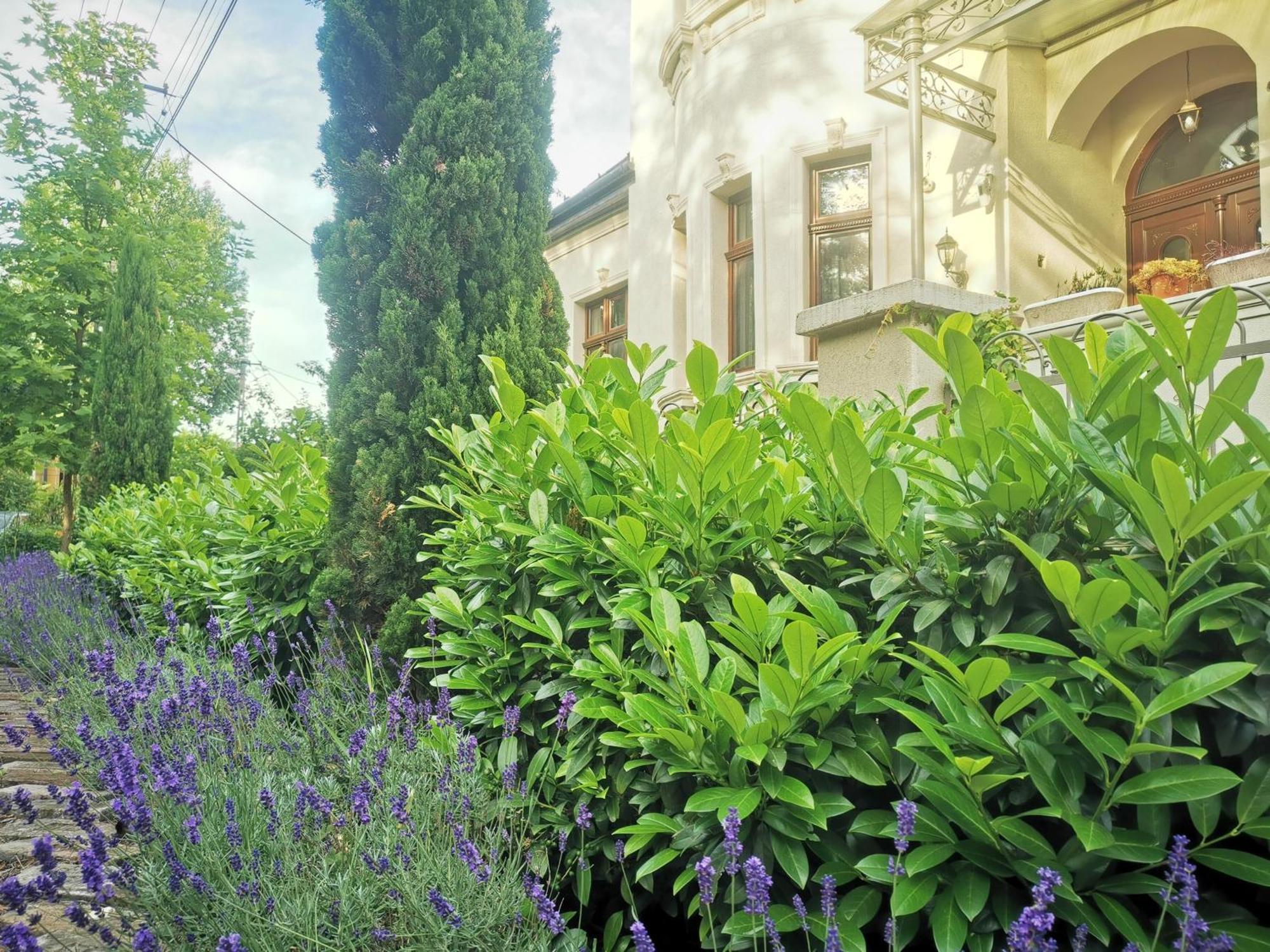 Kuria Apartman With Private Jacuzzi And Pool Budapest Extérieur photo